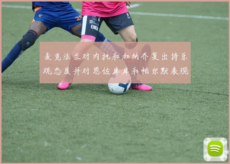 麦克法兰对内托和加纳乔复出持乐观态度并对恩佐库库和帕尔默表现表示满意