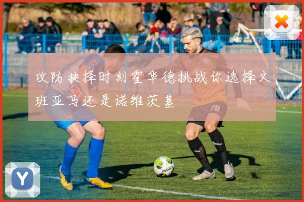 攻防抉择时刻霍华德挑战你选择文班亚马还是诺维茨基