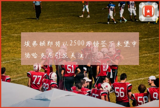 埃弗顿即将以2500万镑签下米堡中场哈克尼引发关注